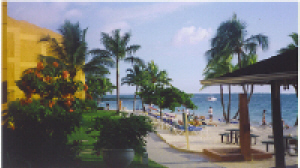 Jamaica Day